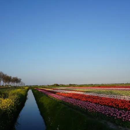 At A In Near Amsterdam * Opmeer